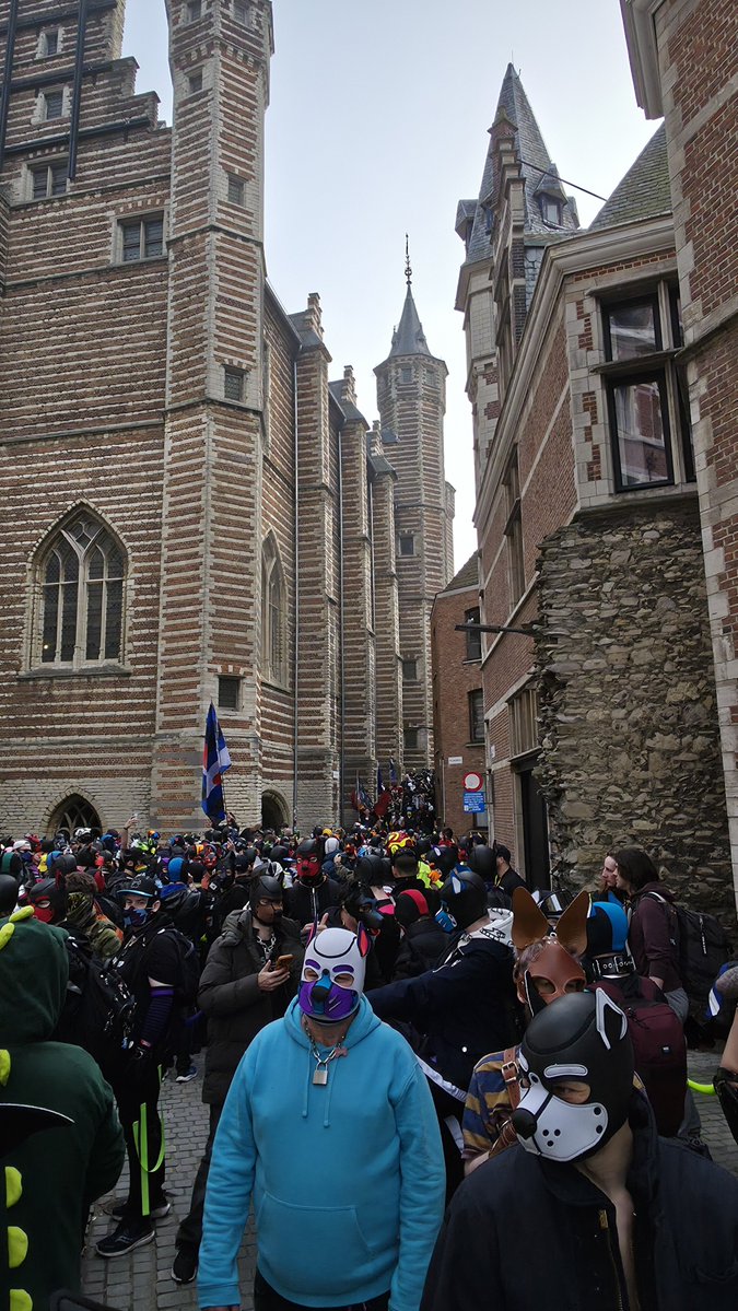 Pup_Pending tweet media