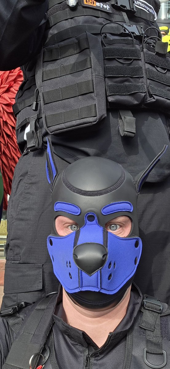 Pup_Pending tweet media