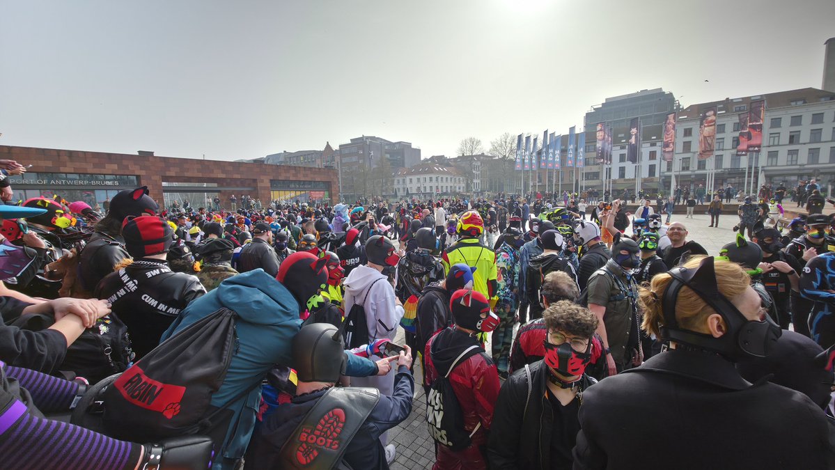 Pup_Pending tweet media