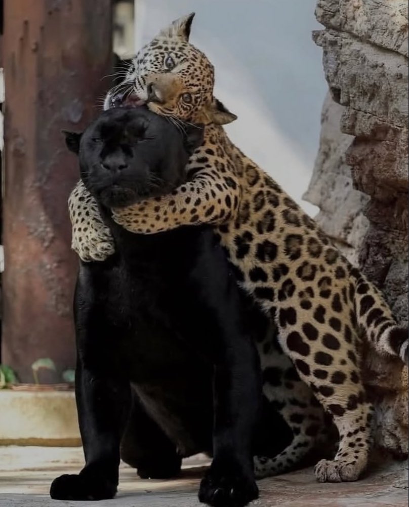 eu e ele eh assim 💐💞