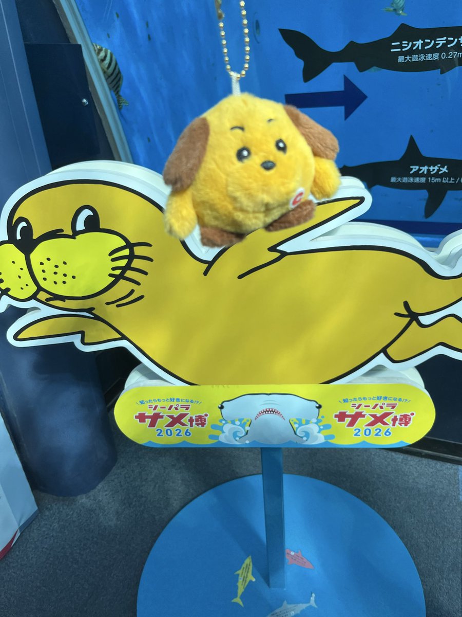 okia_mi_'s tweet photo. 最近アツいと噂のカスタムくん https://t.co/QIP8YEjByA