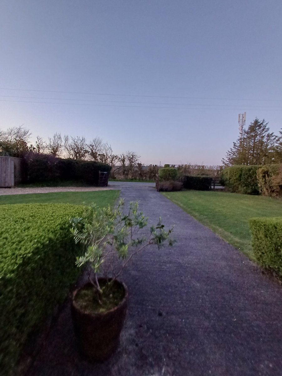 Mrs Quack tweet media