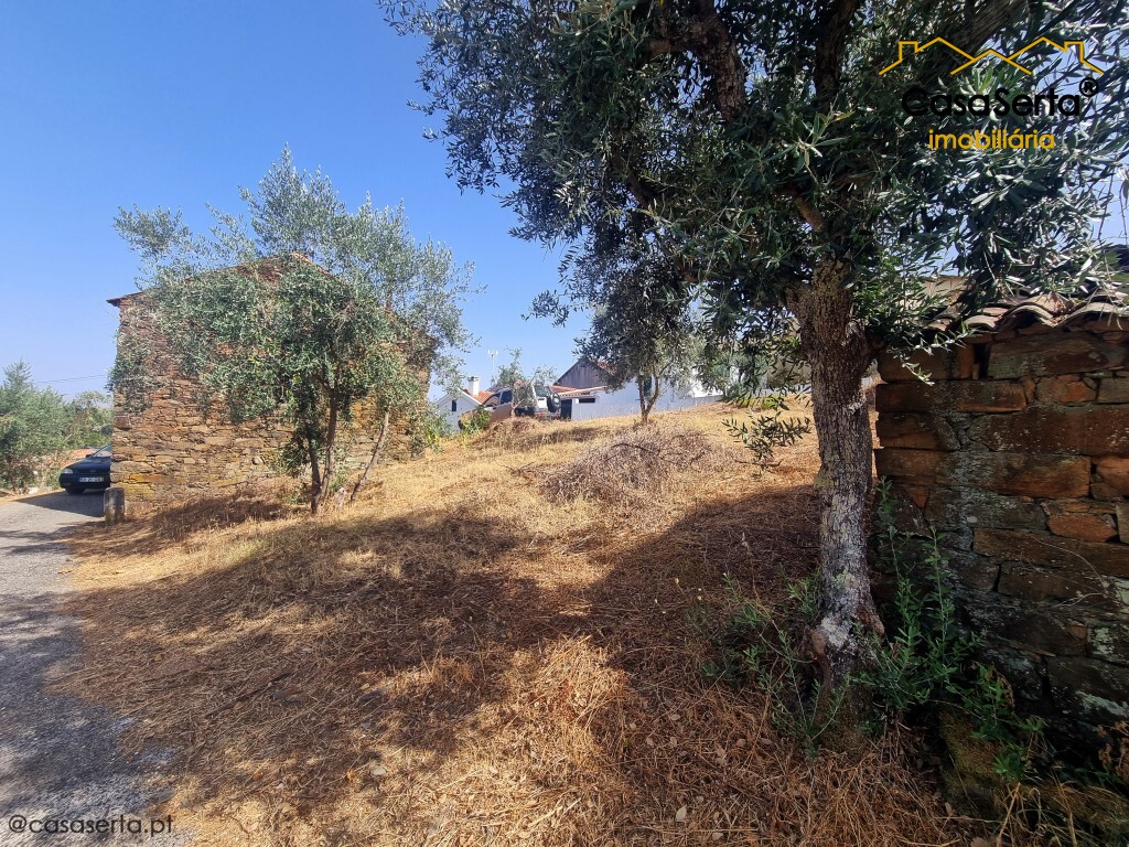 tobarata62's tweet photo. Rota do Xisto

Imóvel Rural - 67553 https://t.co/JDUuSUJjYg https://t.co/hBbqNUfXon
