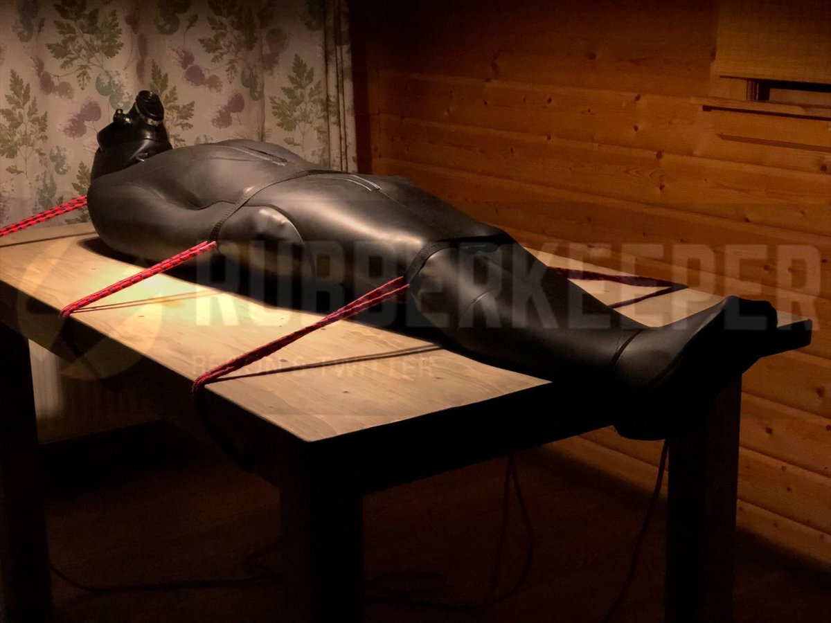 Rubber Kinksters 🇬🇧👀🐶 tweet media