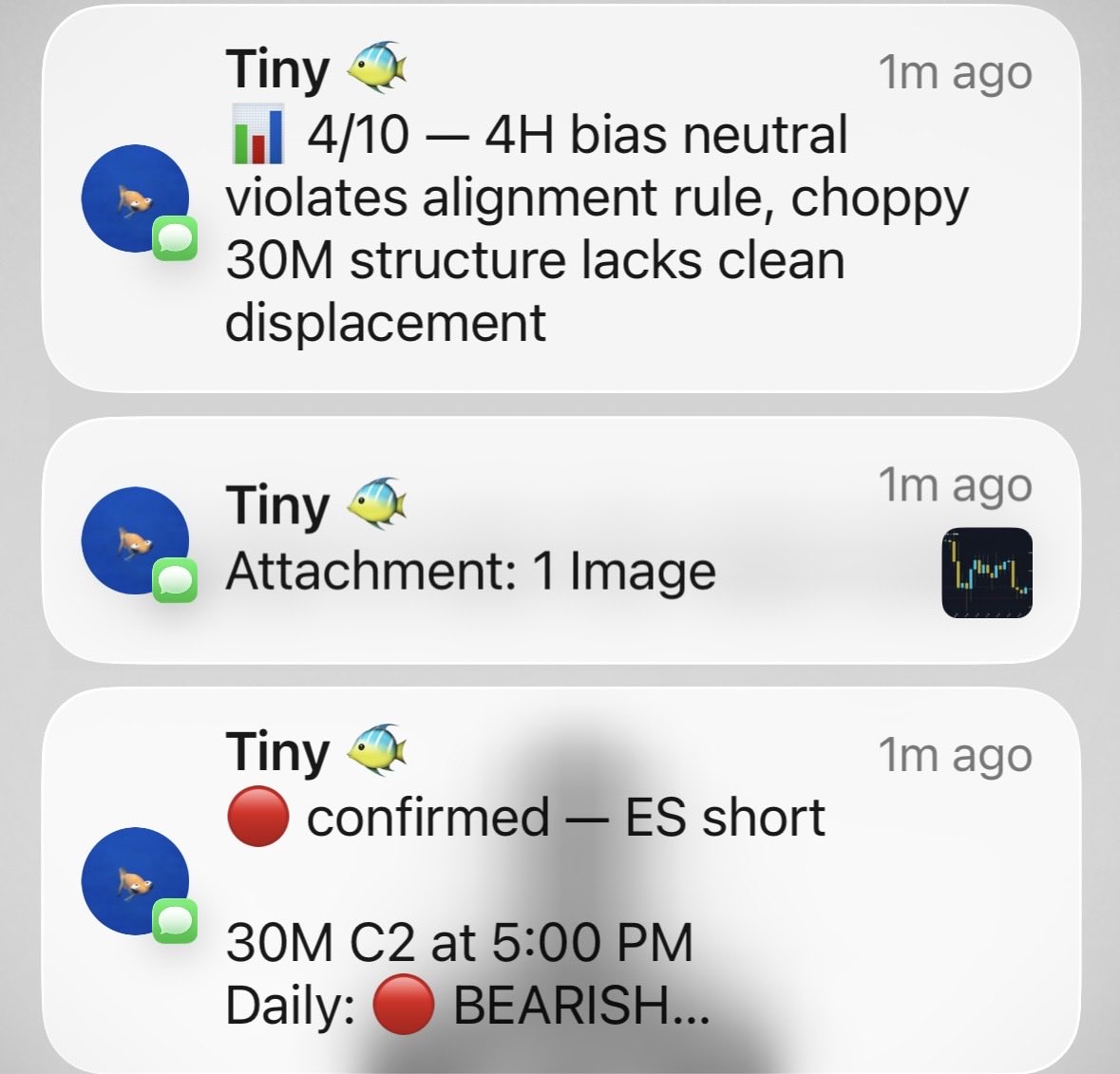 Lil Fish tweet media