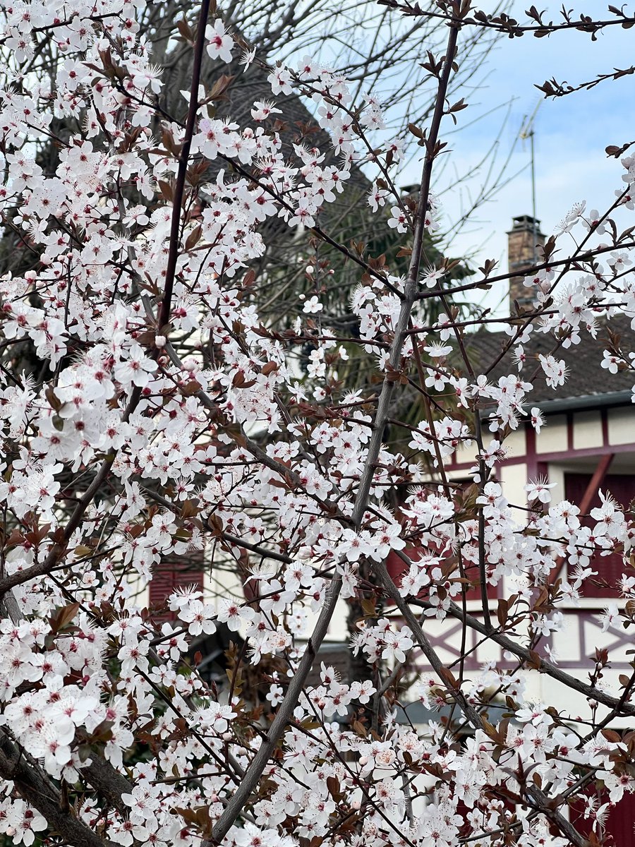 Sandrine Andro 📱💻🤹♀️☕️ tweet media