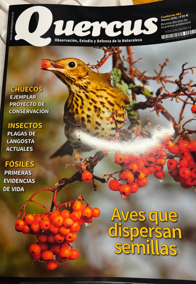 Carlos de Hita tweet media