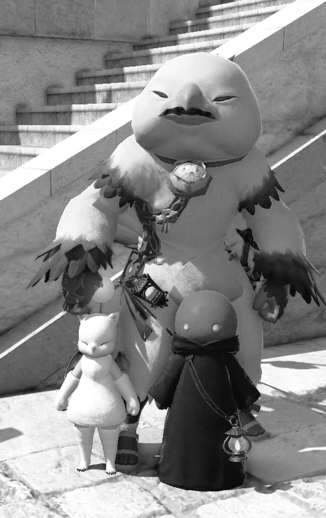 あき(るるぽんぬ)@anima tweet media