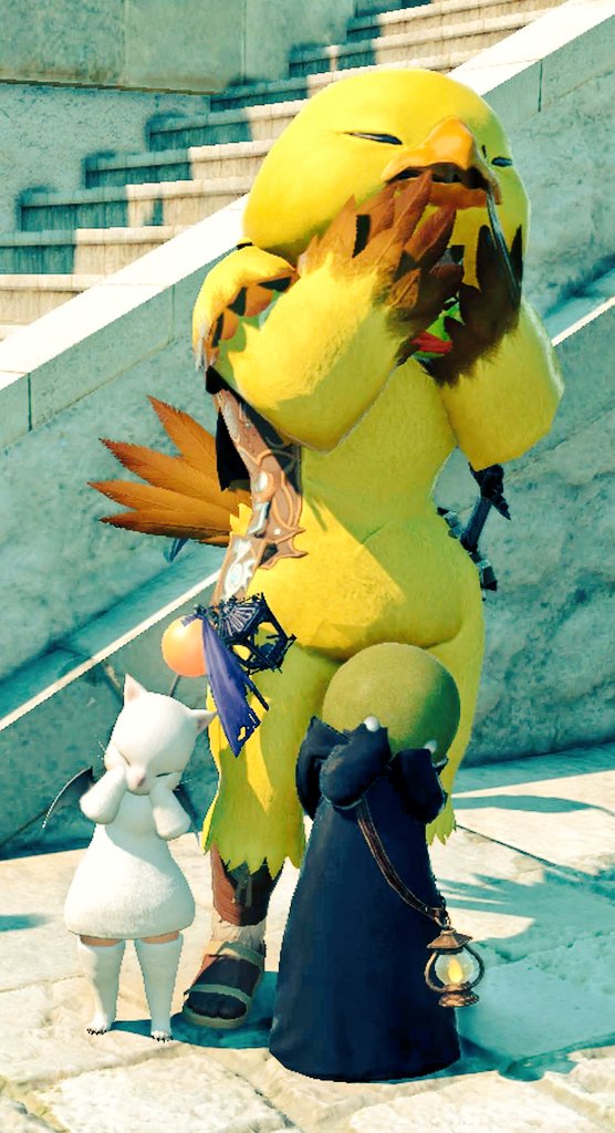 あき(るるぽんぬ)@anima tweet media