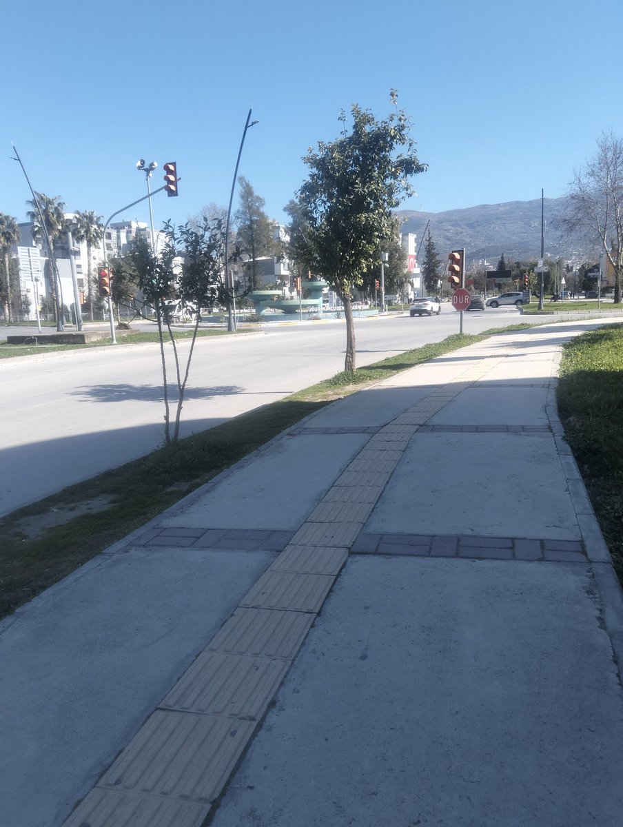 Bu sefer özel ders veren değil alan kişi olmuşsundur...