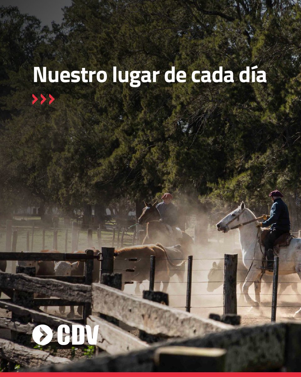 Laboratorio CDV tweet media