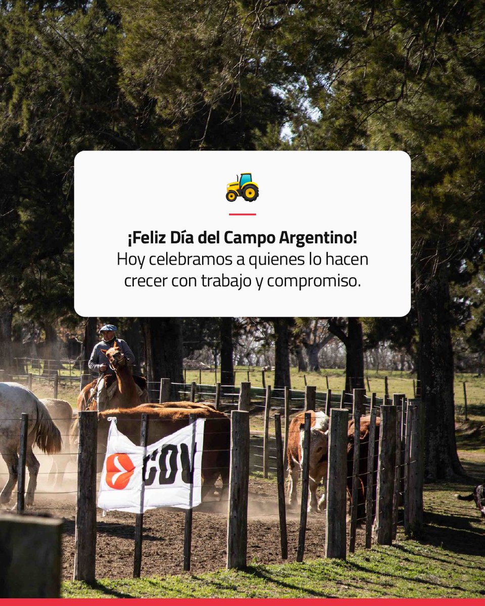 Laboratorio CDV tweet media