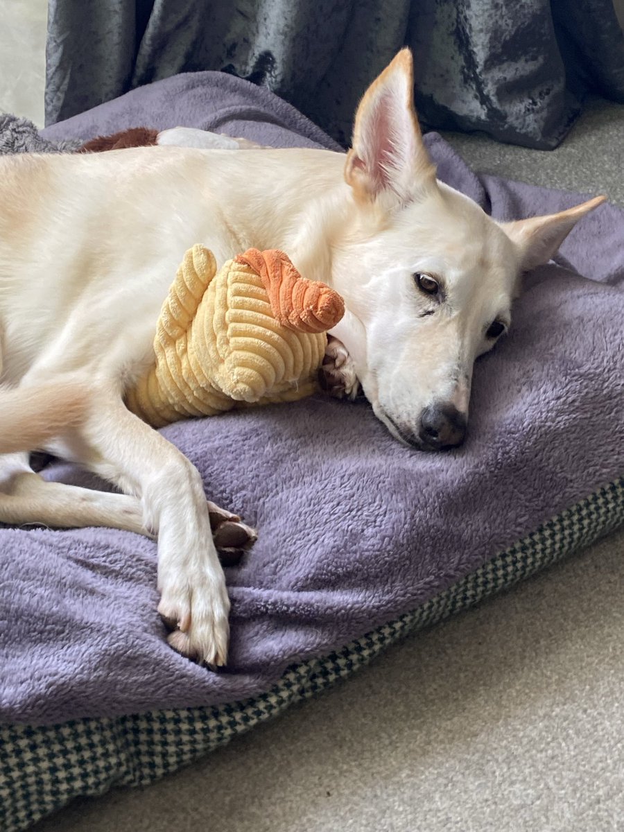 Sir Johnny OBE tweet media