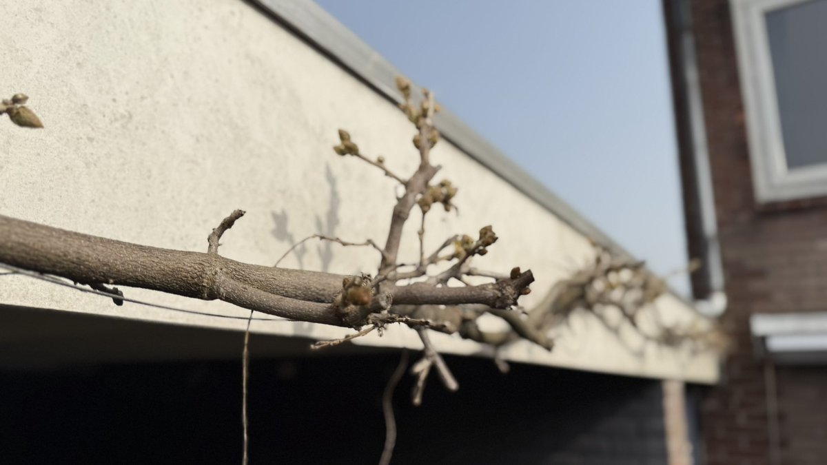 Edwin Popken tweet media