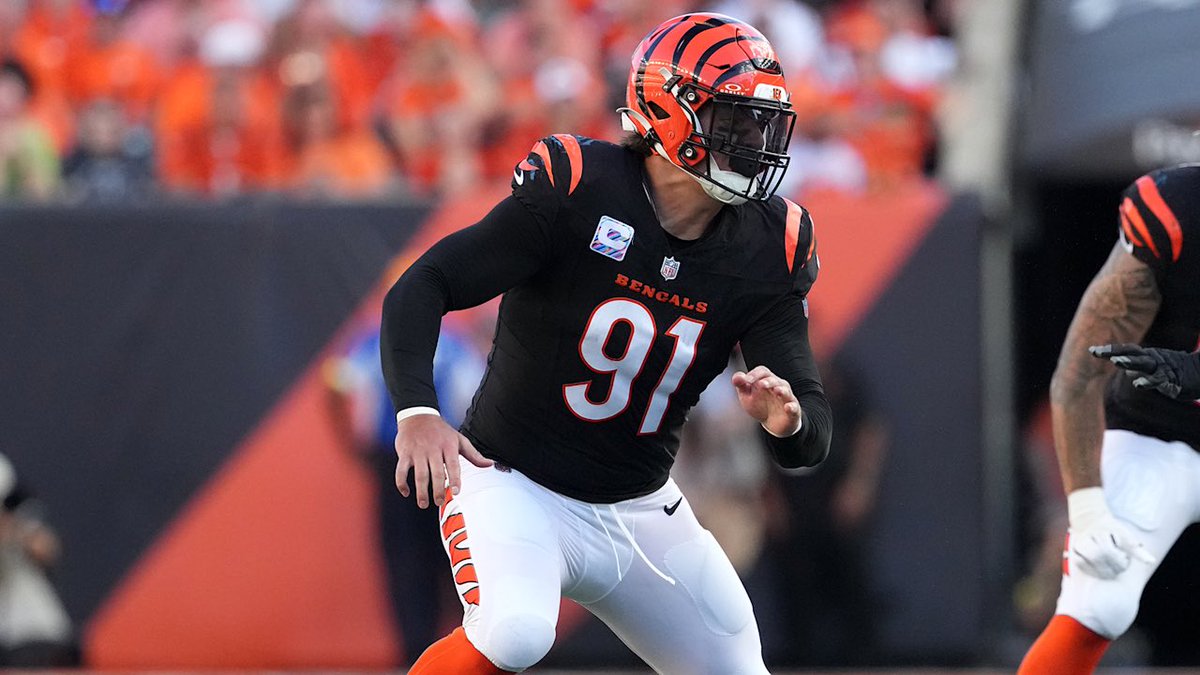 CAPTAIN CEEBEE 🏴‍☠️🐻⬇️ tweet media