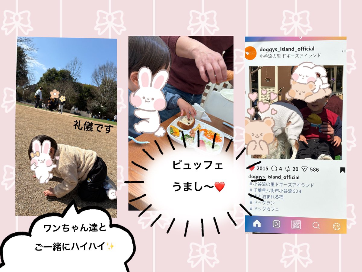 お友達わんことドッグラン行ってきました〜🥰
小谷流工事中で少し狭かったけども夏に向けていい改良を？と期待してしまう…
坊ちゃんは特定ワンちゃんにめっちゃ吠えられたりしましたがご機嫌←え…怖くないのか？
犬たちが近くてめっちゃ喜んでた❣️