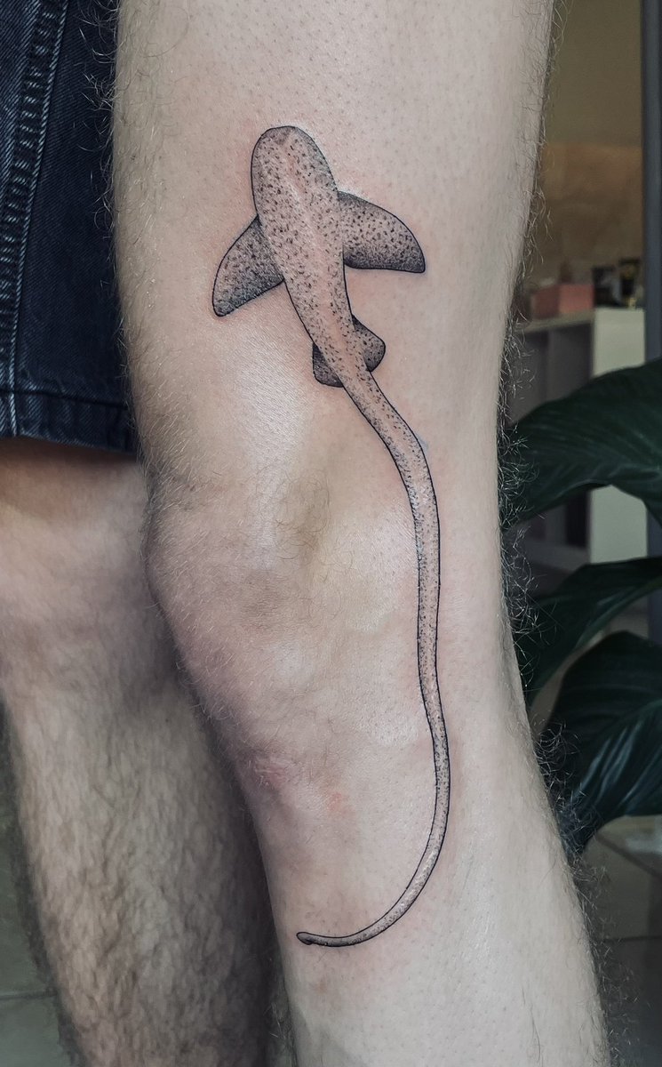 Sam Brun tweet media