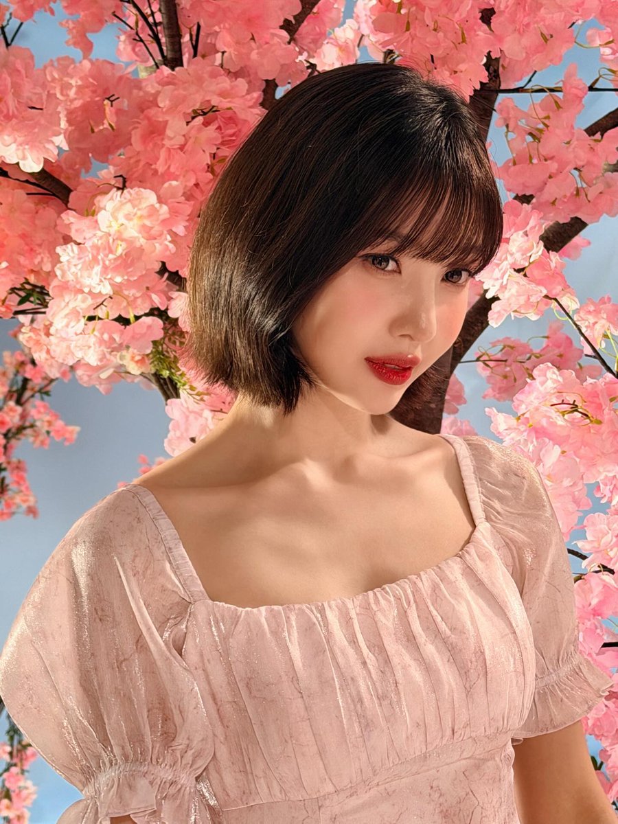 아니 ㅁㅊ 조이 인스타 너무 예뽀… 인간벚꽃 벚꽃의 의인화