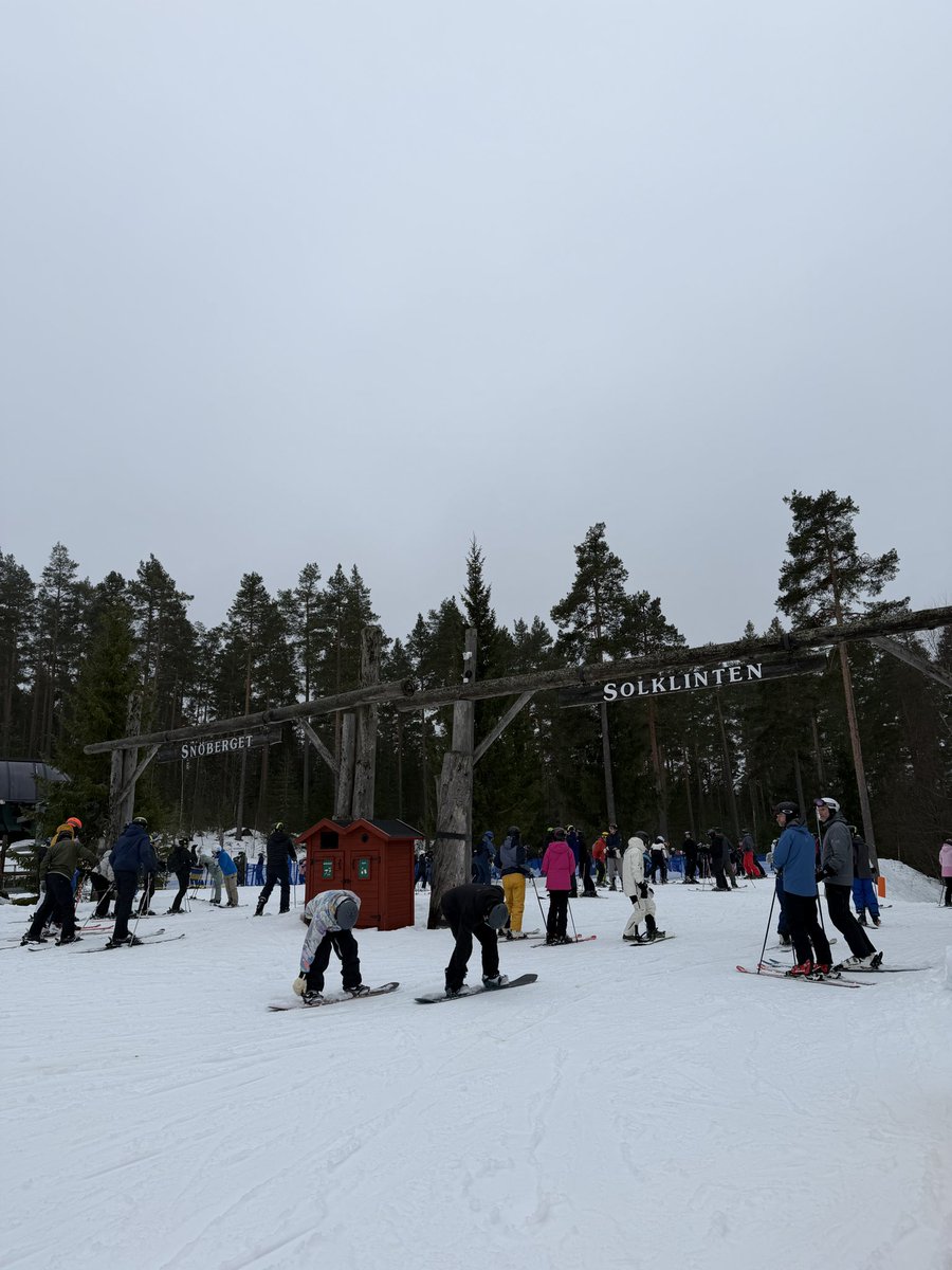 Niklas Aldén tweet media