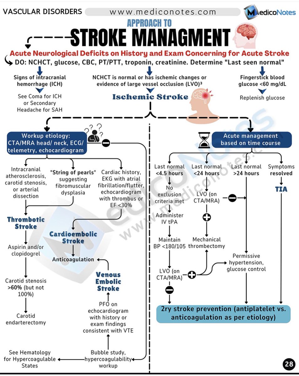 MedicoNotes tweet media