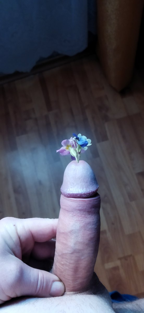 Петър tweet media