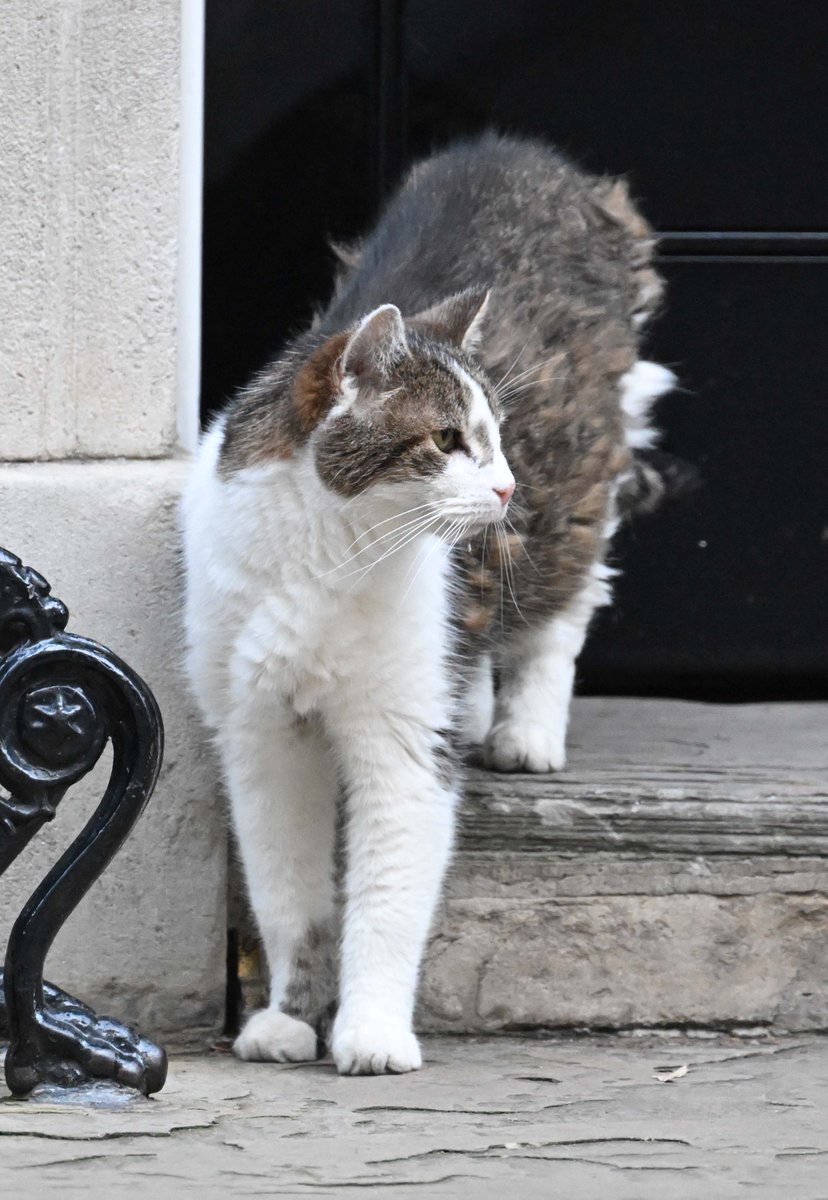 PoliticalPics tweet media