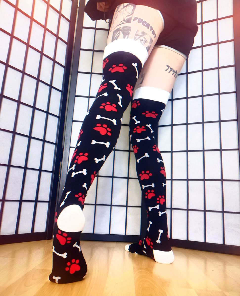 occulttrash's tweet photo. 0w0 what's this? New puppy thigh highs just landed! (⁠◠⁠ᴥ⁠◕⁠ʋ⁠)✨

🔗https://t.co/nwps94TqsC🔗 https://t.co/kNlXa3jn9i