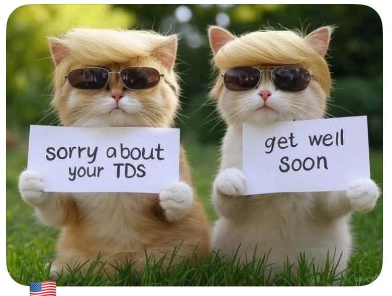 Deborah Harwood tweet media