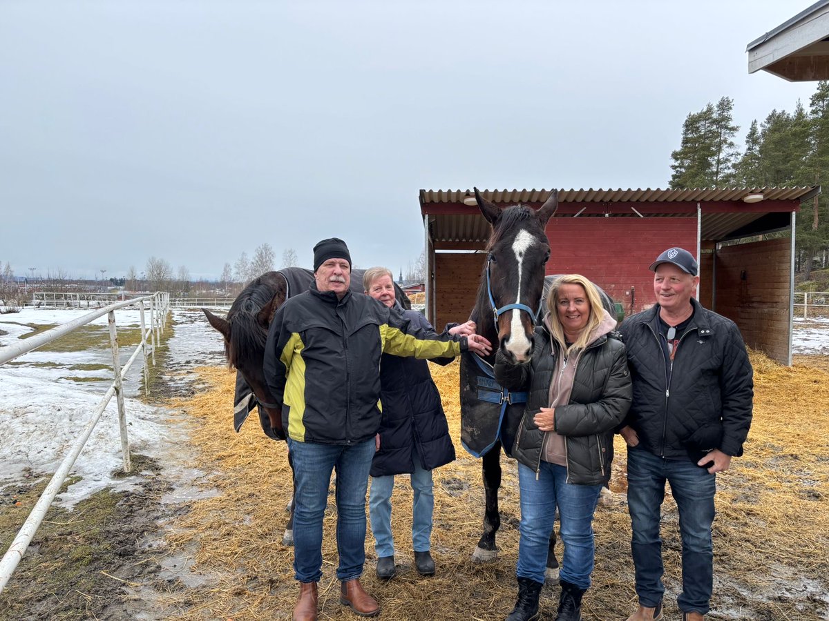 Ising Racing tweet media