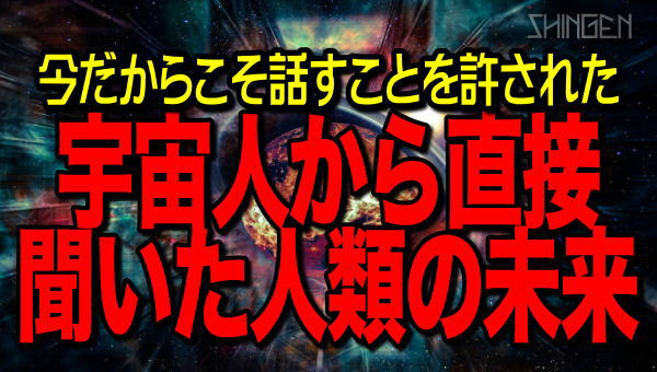 SHINGEN【公式】 tweet media