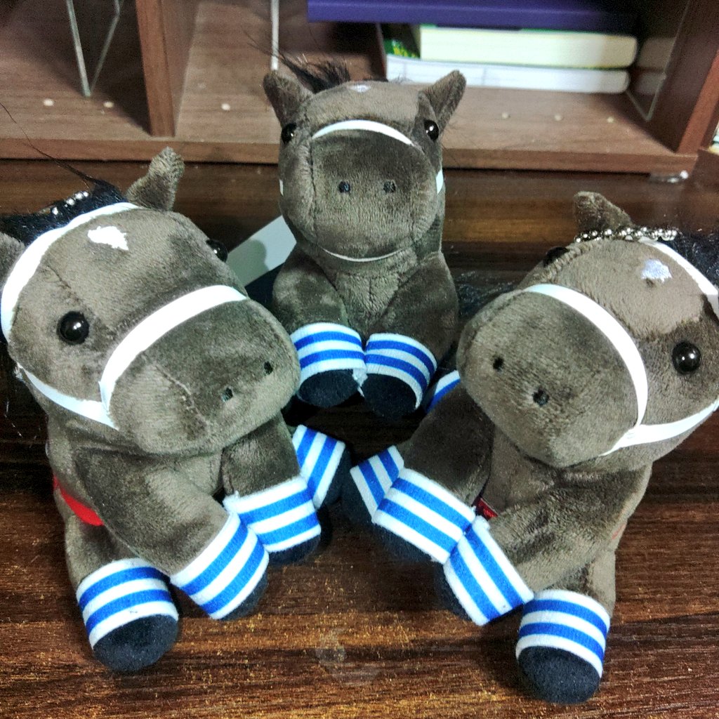 🎀ドピハム🎀 (@mofufu_777) / Posts / X