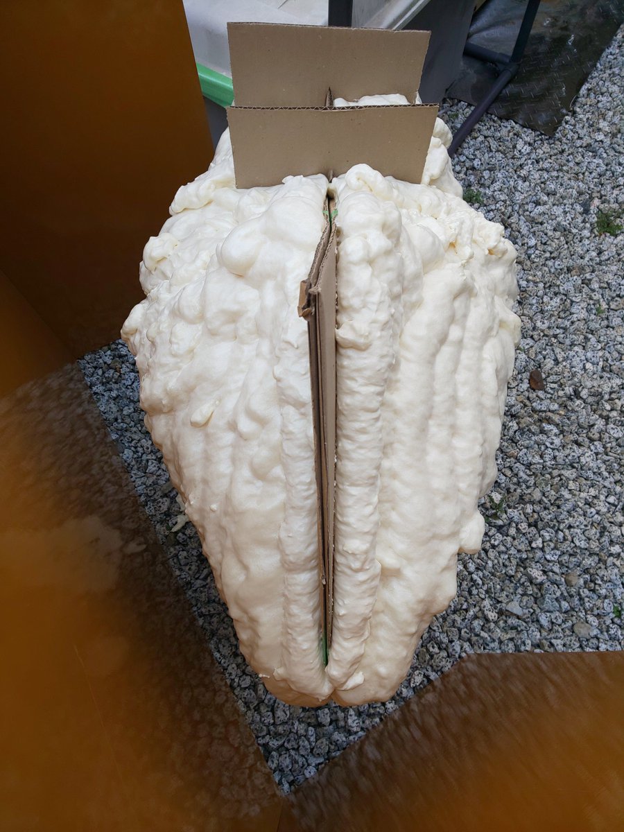 ２st命 tweet media