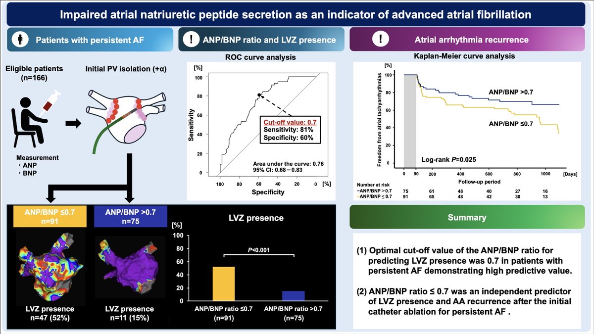 JCIRC_IPR's tweet photo. Impaired ANP secretion, as indicated by an ANP/BNP ratio <0.7, is an independent predictor of low-voltage zone presence and atrial arrhythmia recurrence following catheter ablation for persistent AF.
By Satoshi Oka @satoshiokamd
https://t.co/FYBI2GrKBP
#circ_rep #CardioX https://t.co/Jr2QWf97yq