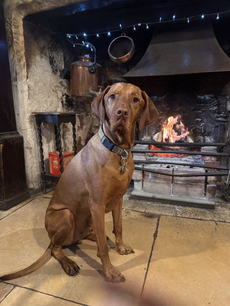 ThatPubChick 🥂 tweet media