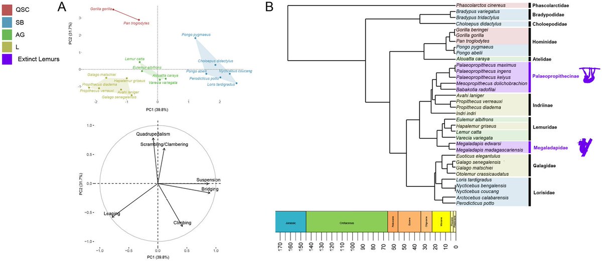 Fabio Alfieri tweet media