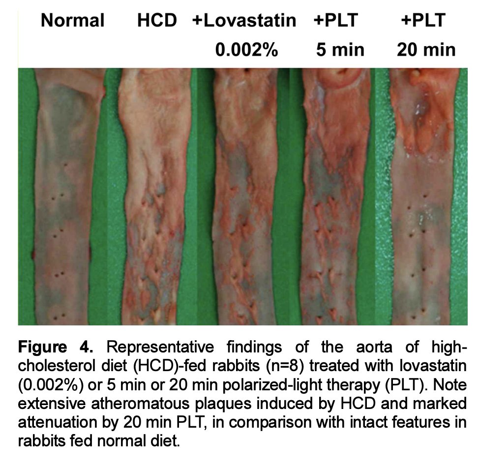 Dalton (Analyze & Optimize) tweet media