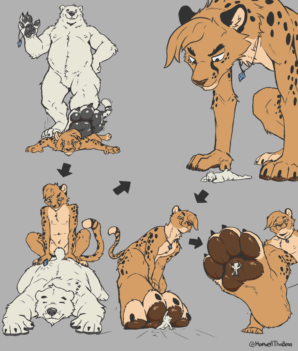 pawlar bearrr 🐾 tweet media