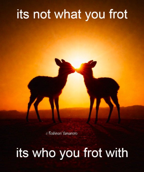 transgendeer (@ciervatonta) on Twitter photo 