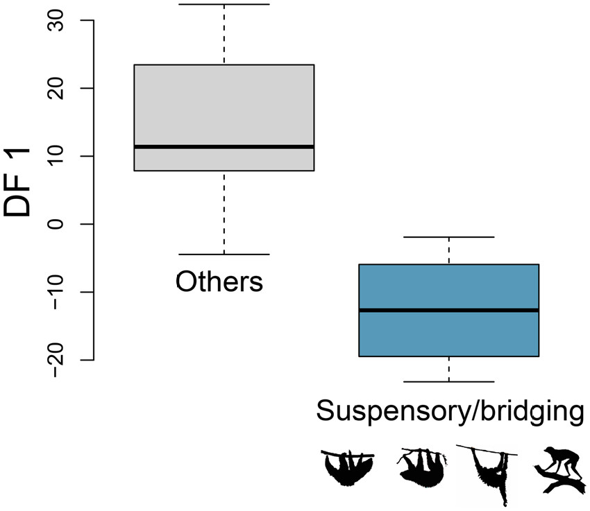 Fabio Alfieri tweet media