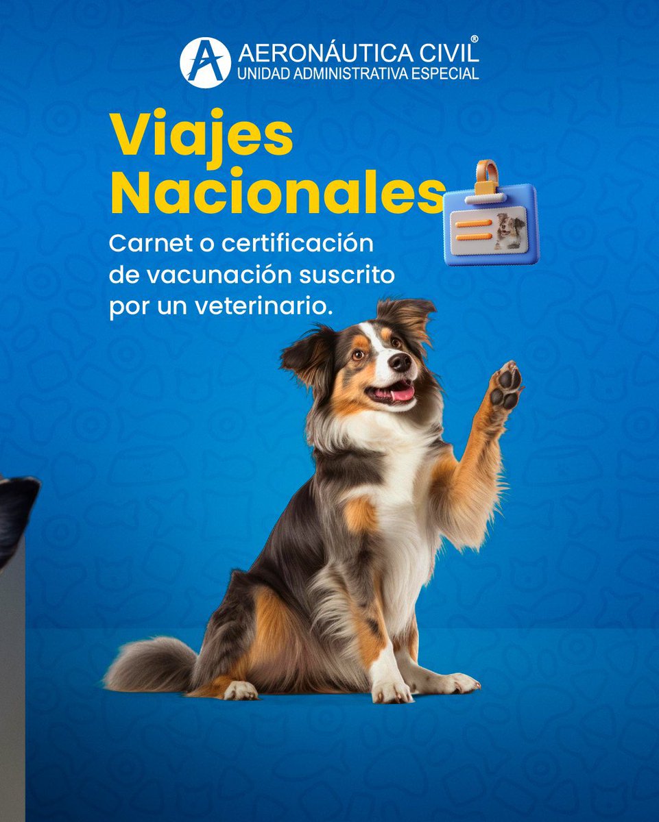 Aeronáutica Civil tweet media