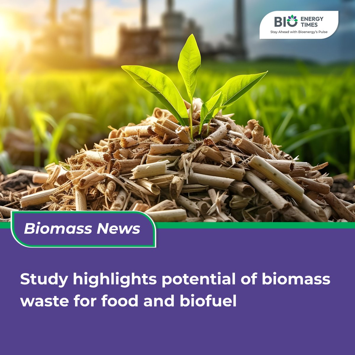 BioEnergy Times tweet media