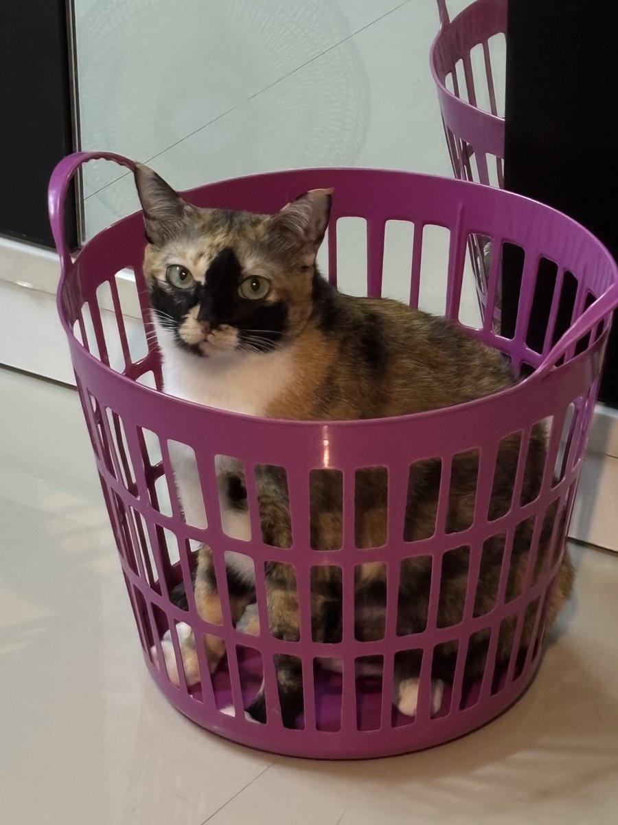 บอกให้นั่งรอเฉยๆอุงนี่จะถูห้อง ชีก็มานั่งรอ55555555