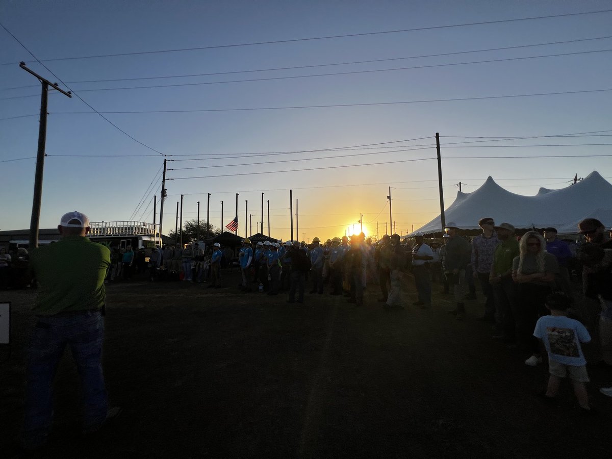 Ana Gibbs tweet media