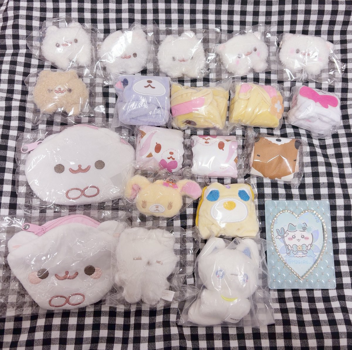 もち🐈⬛プロカ必読 tweet media