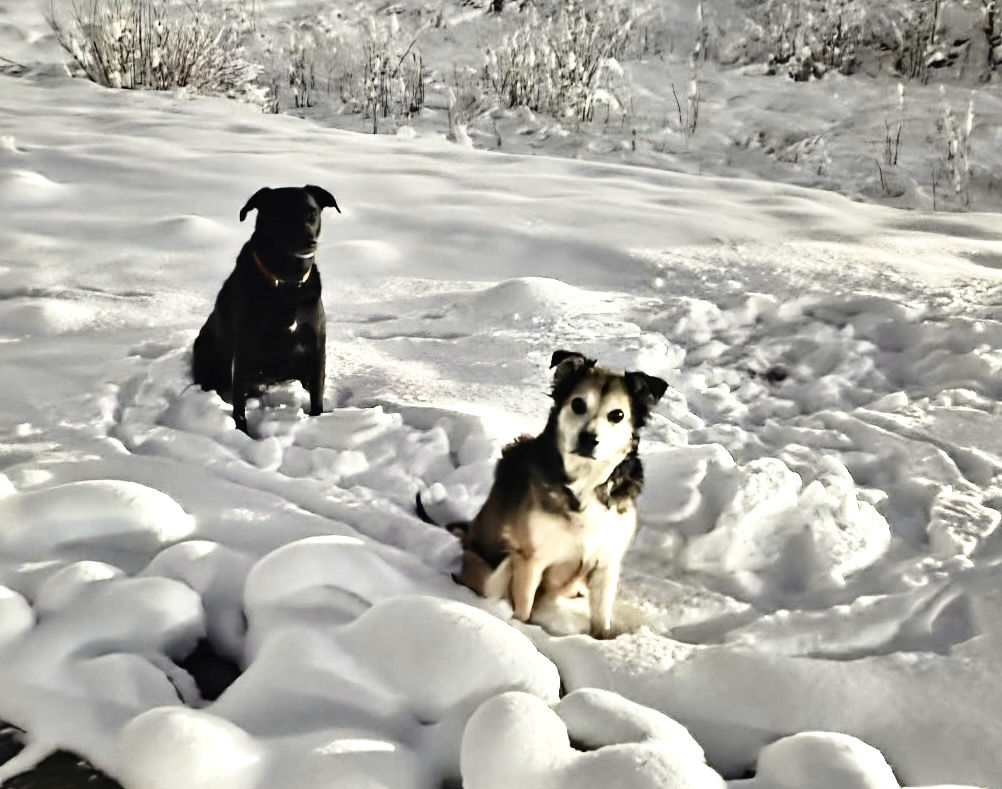 Gary Lezak tweet media