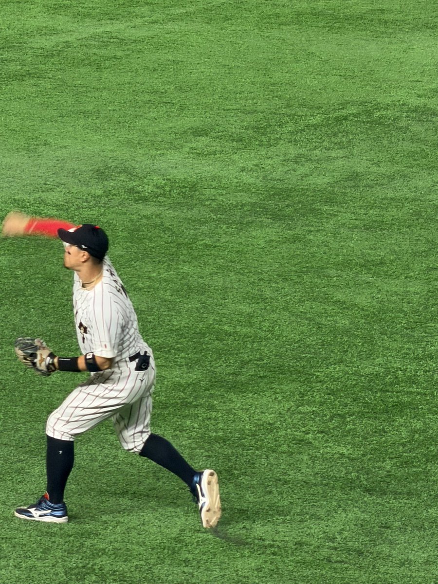 morishi_aimyon's tweet photo. ライトのテル‼️

 #佐藤輝明 
 #WBC2026 https://t.co/oexERmUP0N