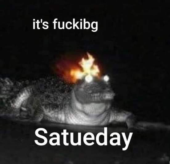 bug 🐛⚡️ tweet media