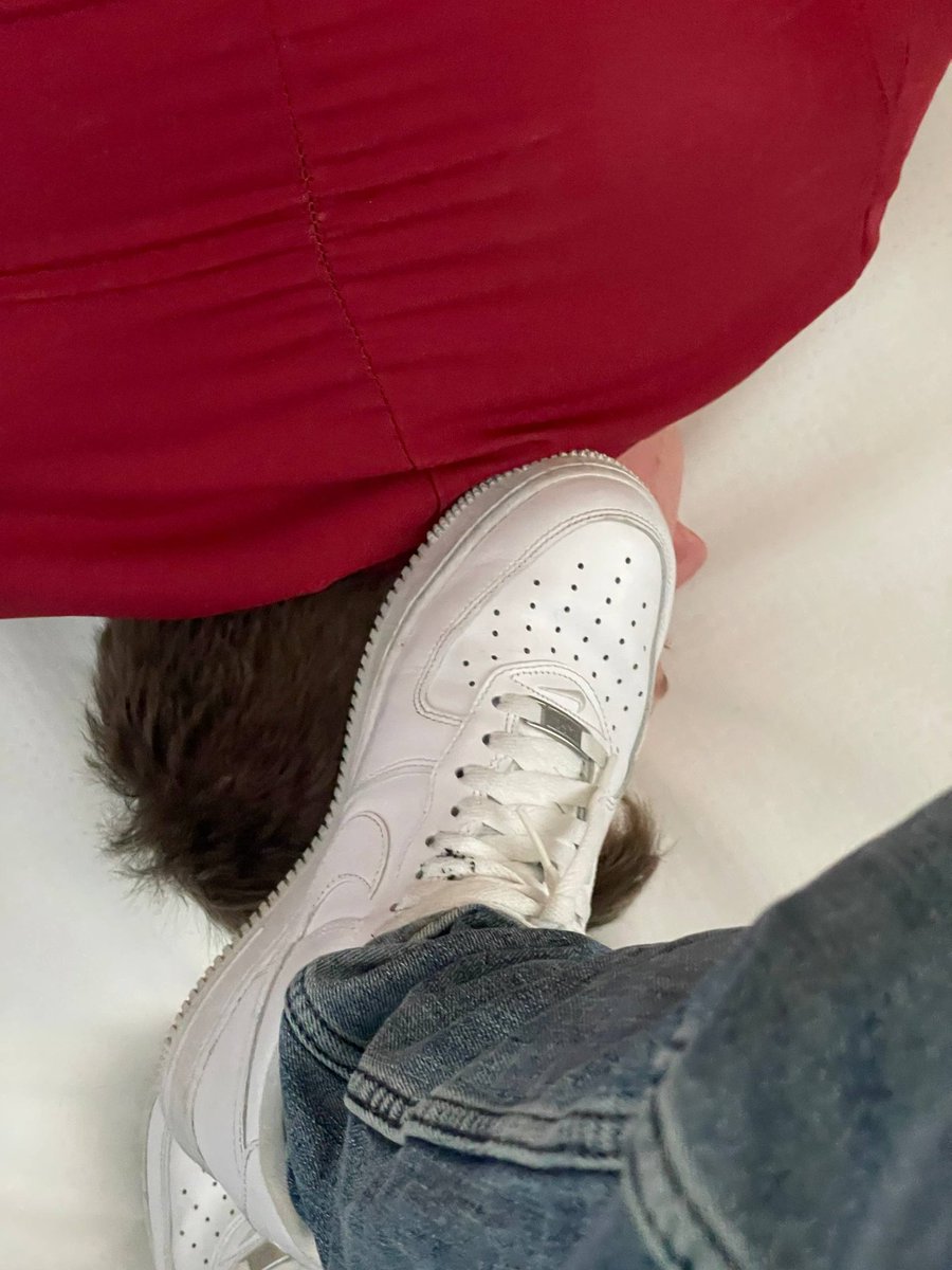 Master Karim 🇳🇱 🇲🇦 tweet media