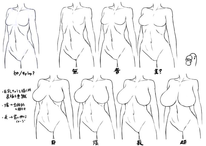 乳の書き分け ポイントは大きさと乳上面の張り