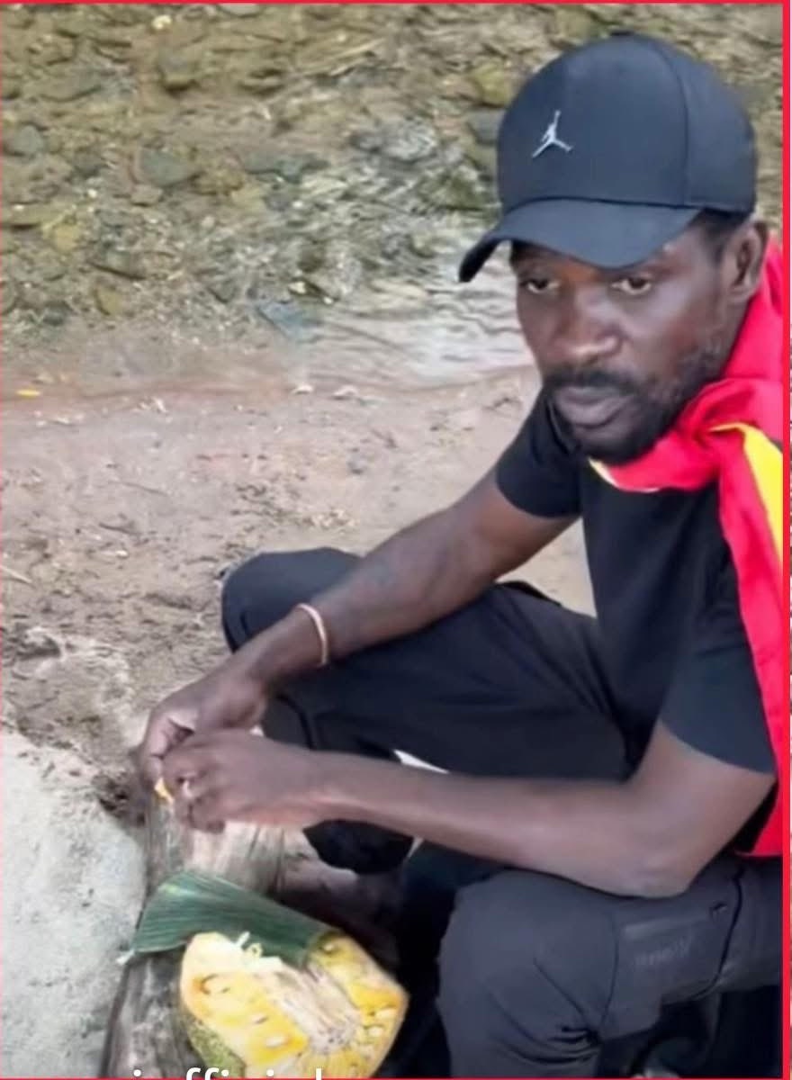 The controversy surrounding the military's role in the election persists. What occurred was not a legitimate presidential election, but a coordinated military operation.